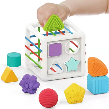 Baby Shape Sorter Toy Montessori Sensory Cube Sorting Toys Motor Skills Training Block Games Kids Educational Toys for Children