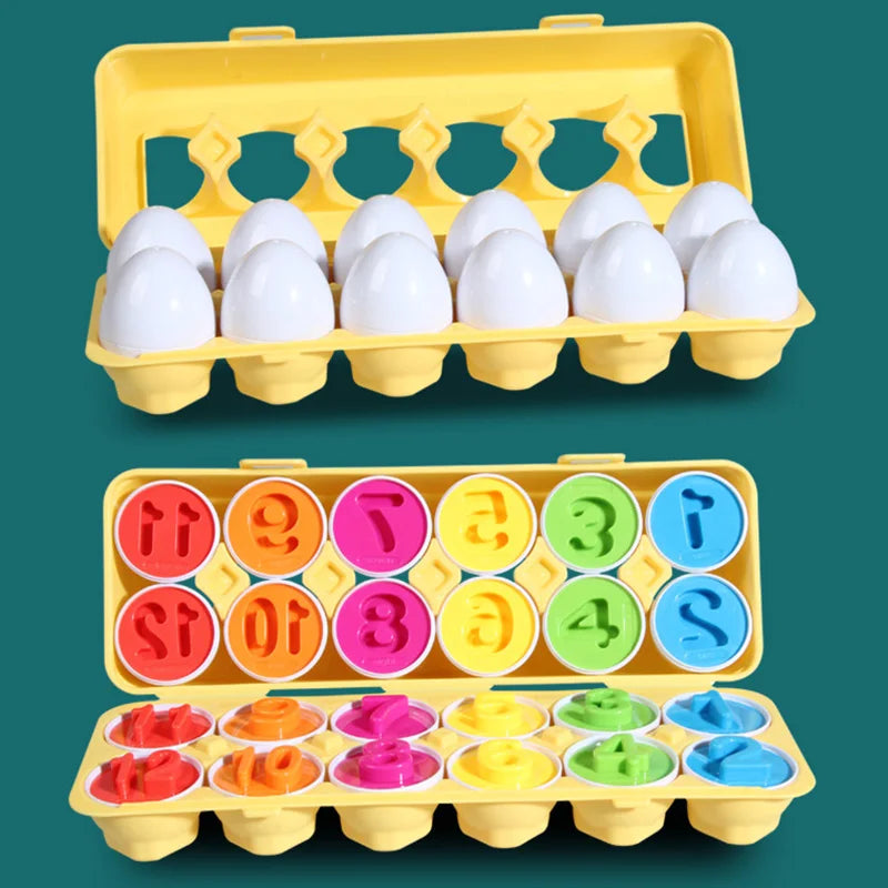 Matching Eggs Montessori Sensory Baby Toys