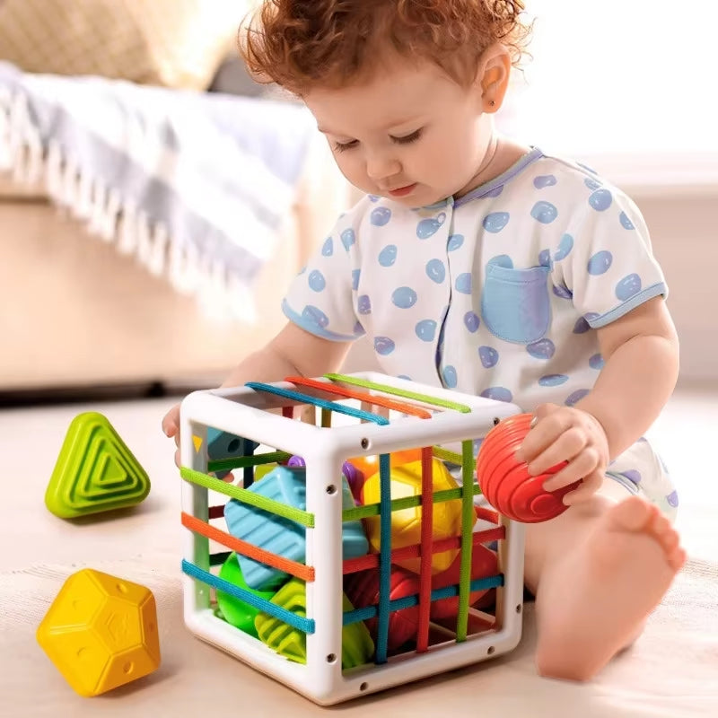 Baby Shape Sorter Toy Montessori Sensory Cube Sorting Toys Motor Skills Training Block Games Kids Educational Toys for Children